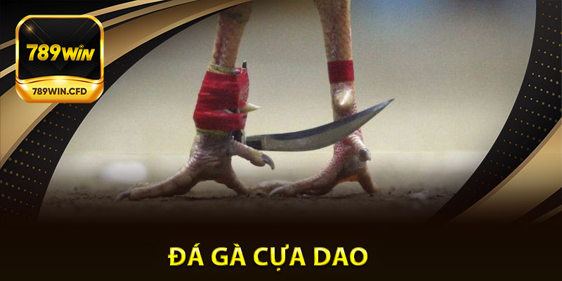 Đá Gà Cựa Dao